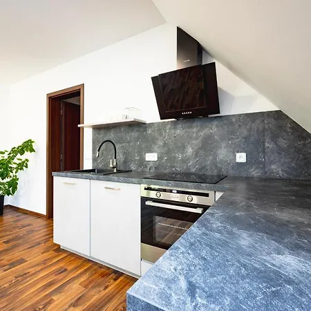 Apartmany Eli A Naty Destne v Orlickych horach Exterior photo
